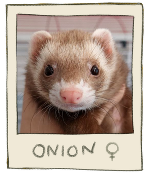 Onion Mugshot.png