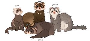 First-four-ferrets-drawing.jpg