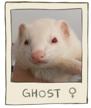 Ghost Mugshot.png