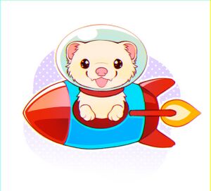 Space Mouse.jpg