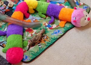 Toys-Catepillow.JPG