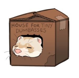 Beans-tiny-house.jpg